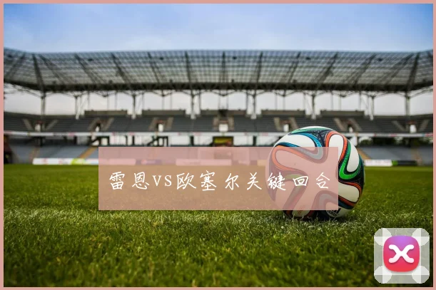 雷恩vs欧塞尔关键回合