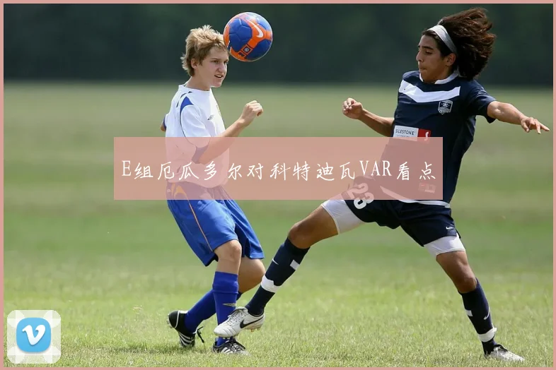 E组厄瓜多尔对科特迪瓦VAR看点