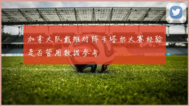 加拿大队戴维对阵卡塔尔大赛经验是否管用数据参考